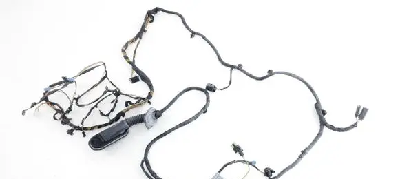 Front door wiring loom