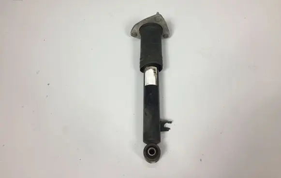 BMW X5 E70 Rear shock absorber/damper 6782877