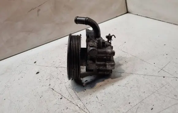KIA Carens II Power steering pump 571002G200