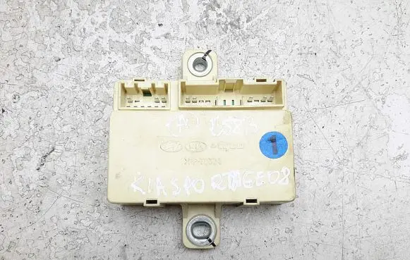 KIA Sportage Engine control unit/module 919401f010