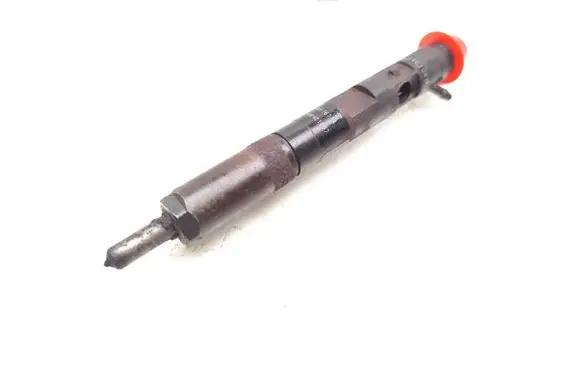 Renault Kangoo I Fuel injector 8200676774 EJBR05101D