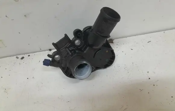 Thermostat/thermostat housing