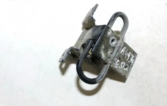 Rear door lower hinge