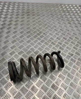 Ford Mustang Mach-E Rear coil spring LJ9C5560ANF