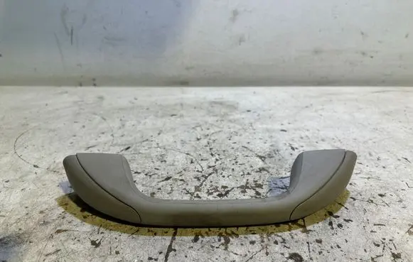 Dacia Duster II Rear interior roof grab handle