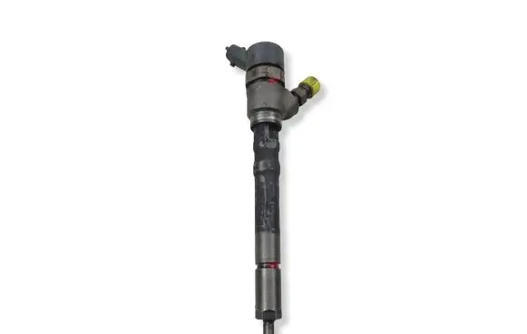 Hyundai Santa Fe Fuel injector 3380027900 0445110126