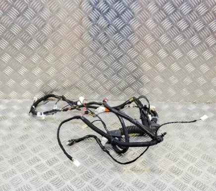 Tesla Model Y Other wiring loom P148905500C 148905500C