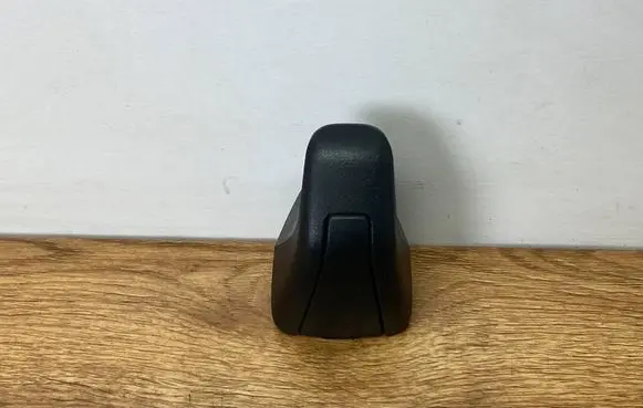 Dodge Challenger A set of handles for the ceiling HACZCAE