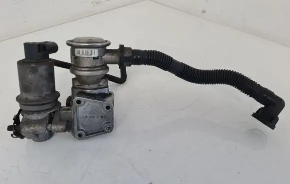 Volkswagen New Beetle EGR valve 06A131166B