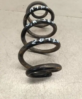 Rear coil spring