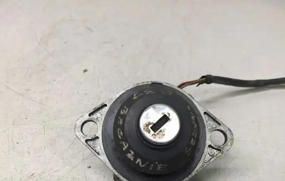 BMW 5 E39 Tailgate exterior lock 8363699
