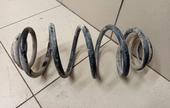 Opel Signum Rear coil spring 