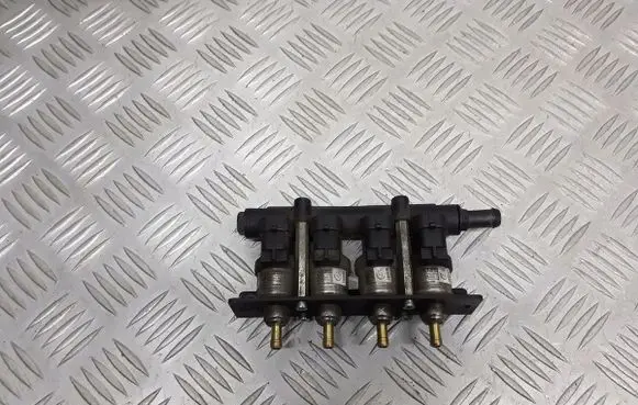 Audi A4 S4 B7 8E 8H LP gas injector 67R-016409