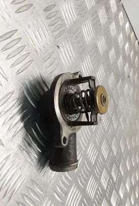 Thermostat/thermostat housing