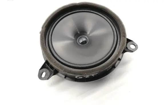 Rear door speaker