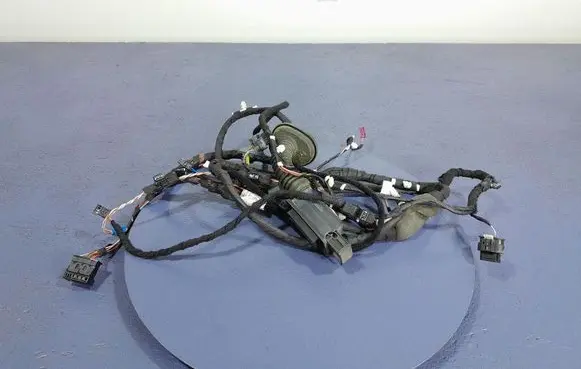 Audi A4 S4 B7 8E 8H Other wiring loom 8707362
