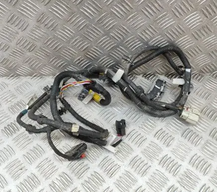 Tesla Model Y Other wiring loom 248905901A