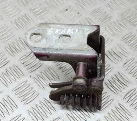 Cadillac STS Seville Rear door lower hinge