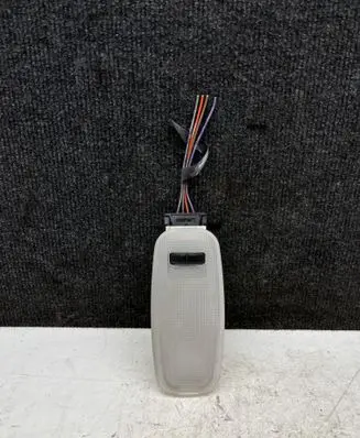 Volkswagen Crafter Front seat light A9066200801