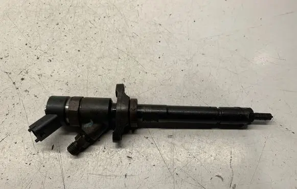 Citroen Xsara Picasso Fuel injector 0445110188 892080 BE403