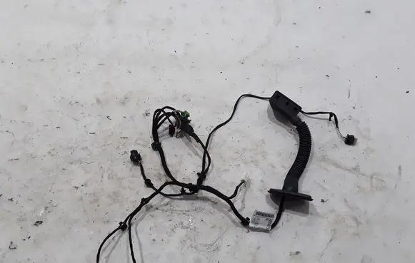 Other wiring loom