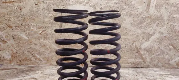 Rear coil spring