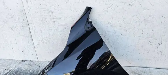 Renault Megane III Fender 