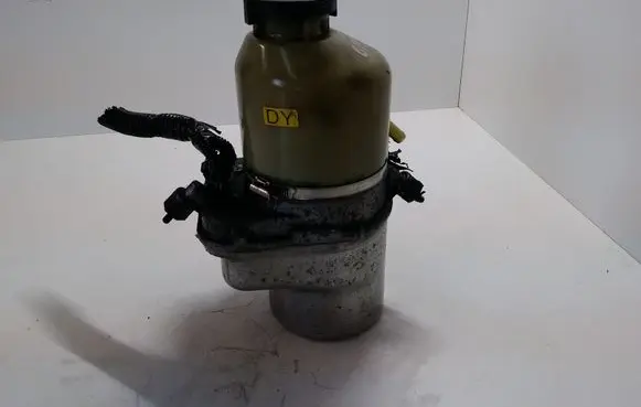 Electric power steering pump