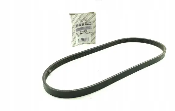 Fiat Sedici Alternator belt 71742126