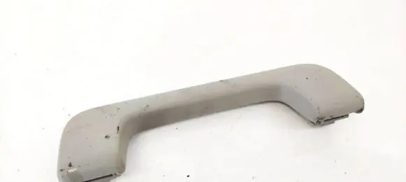 Front interior roof grab handle