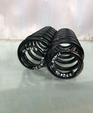 Rear coil spring