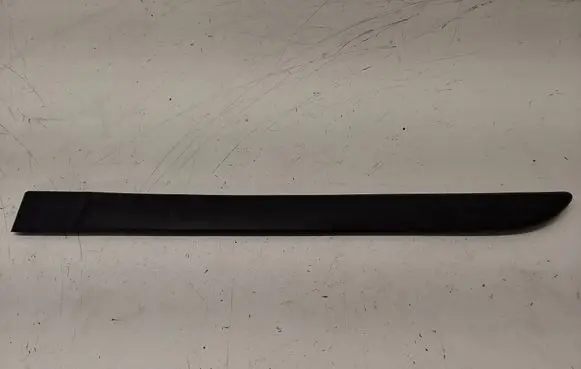 Renault Megane II Rear door trim (molding) 8200073473