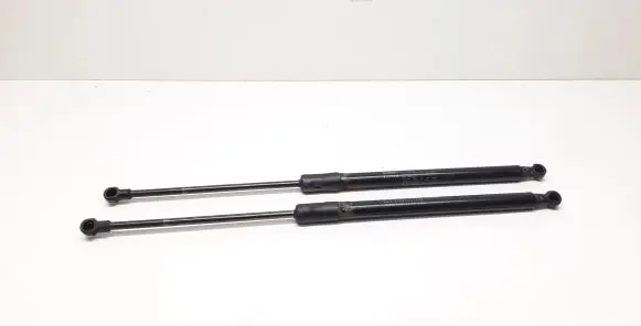 Volvo C30 Tailgate/trunk strut/damper 31278323