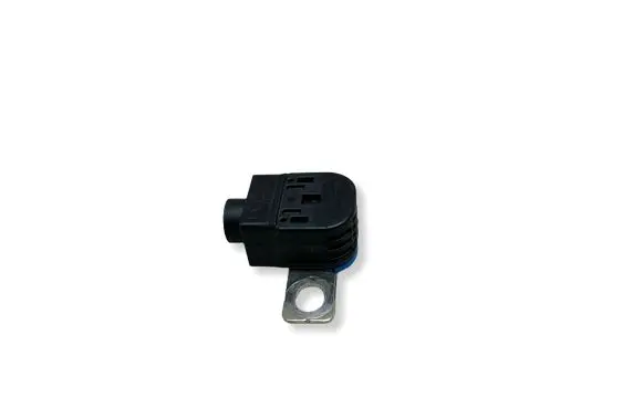 Porsche Cayenne (92A) Battery relay fuse 4G0915519 95861120500