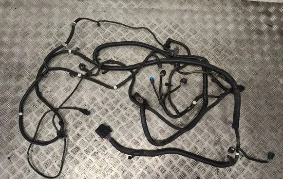 Renault Trafic III (X82) Wiring harness 240144065S RTSCTI910 D1064