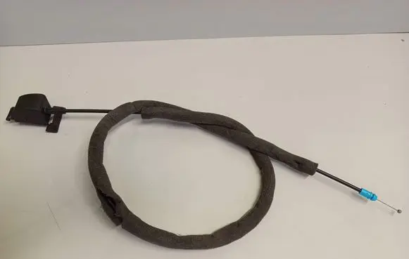 Rear door cable line