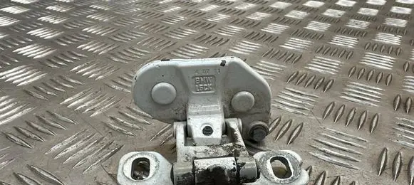 Tailgate/trunk/boot hinge