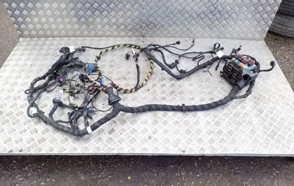 Other wiring loom