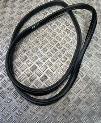 BMW X1 F48 F49 Front door rubber seal 7349628
