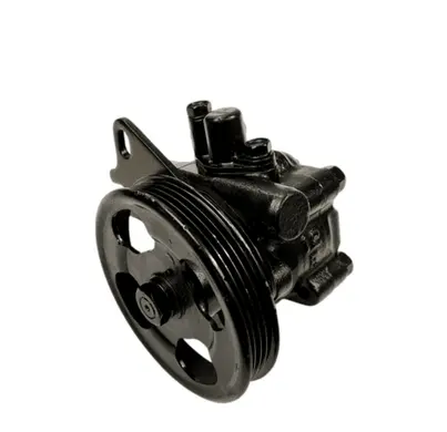 Mini Cooper Countryman R60 Power steering pump 130651