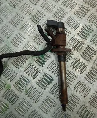 Peugeot 407 Fuel injector 9657144580