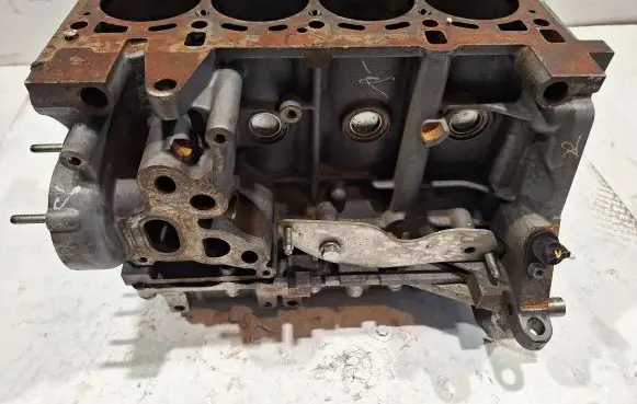 Fiat Doblo Engine block 55212839