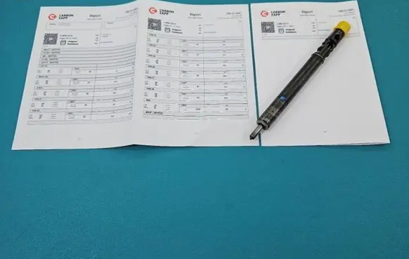 Citroen C3 Fuel injector EJBR01001A IMPRK1428395
