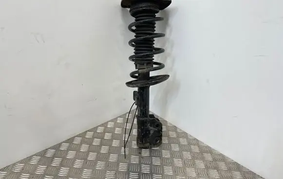 Citroen Jumpy Front shock absorber with coil spring 9805519980