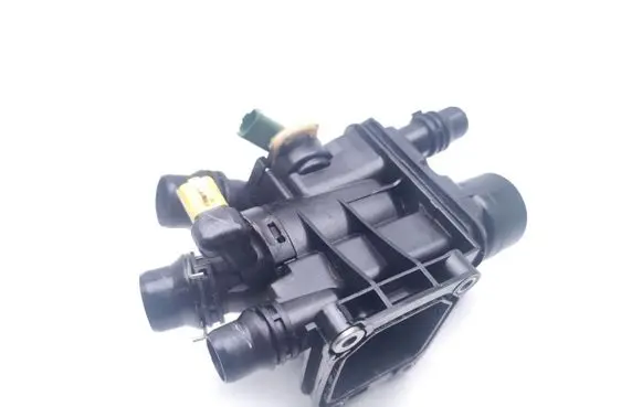 Opel Crossland X Thermostat/thermostat housing 9812131480 109251PS 110390PS