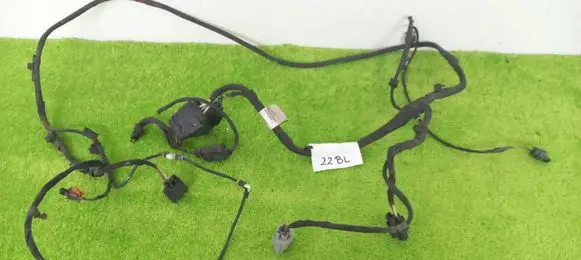 Volkswagen PASSAT B7 Parking sensor (PDC) wiring loom 3AA971095T