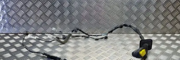 Renault Zoe Rear door wiring loom 241261422R