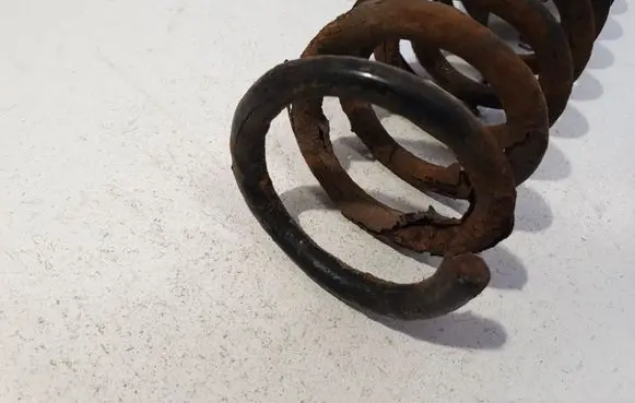 Rear coil spring