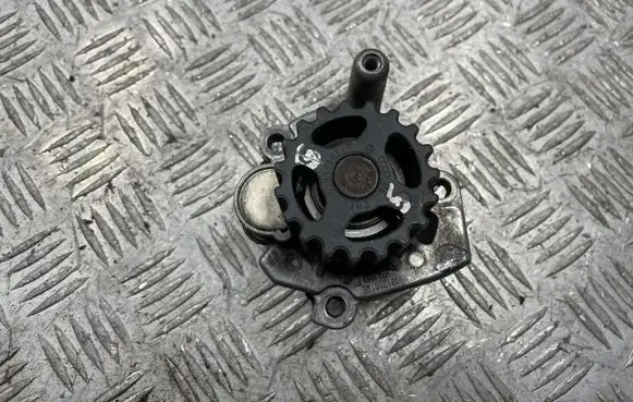 Volkswagen Golf Plus Water pump 038121019E