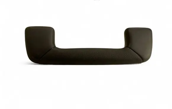 Lexus RX V Front interior roof grab handle
